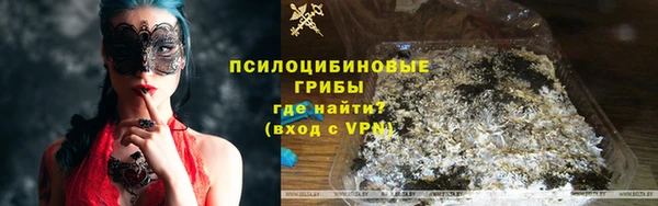 молекула духа Заволжье