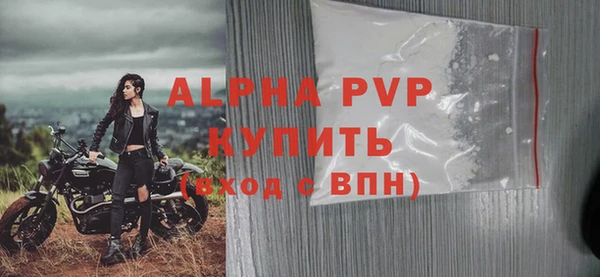 молекула духа Заволжье