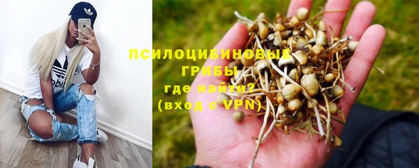 молекула духа Заволжье